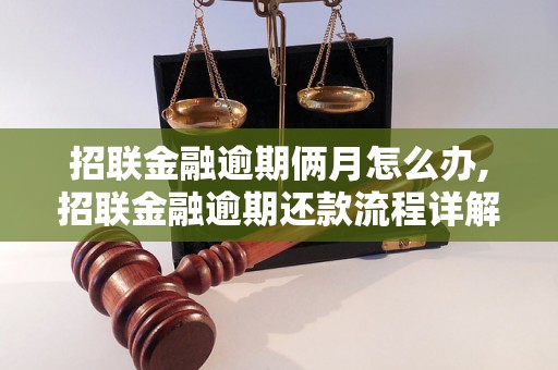 招联金融逾期俩月怎么办,招联金融逾期还款流程详解