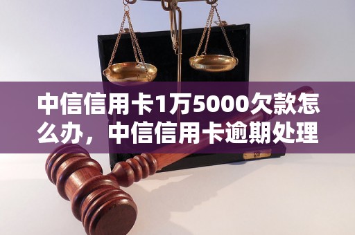 中信信用卡1万5000欠款怎么办，中信信用卡逾期处理流程