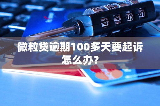 微粒贷逾期100多天要起诉怎么办？