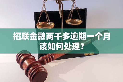 招联金融两千多逾期一个月该如何处理？