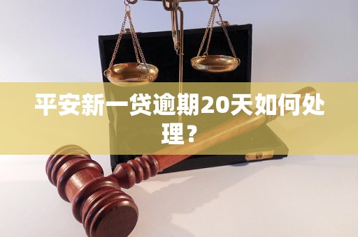 平安新一贷逾期20天如何处理？