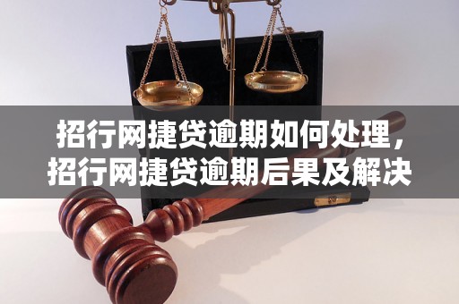 招行网捷贷逾期如何处理，招行网捷贷逾期后果及解决方案