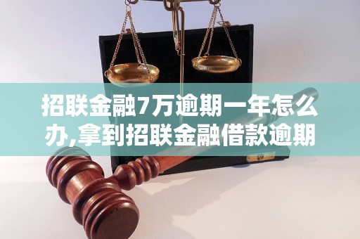 招联金融7万逾期一年怎么办,拿到招联金融借款逾期处理方法