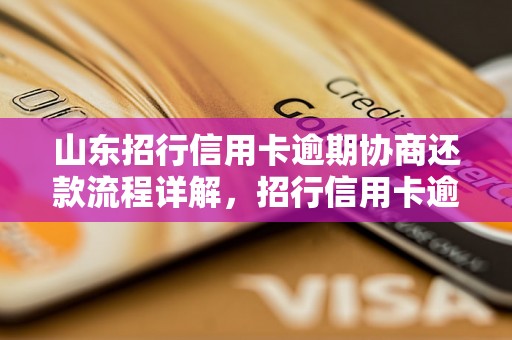 山东招行信用卡逾期协商还款流程详解，招行信用卡逾期处理方式