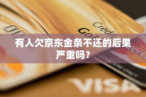 有人欠京东金条不还的后果严重吗？
