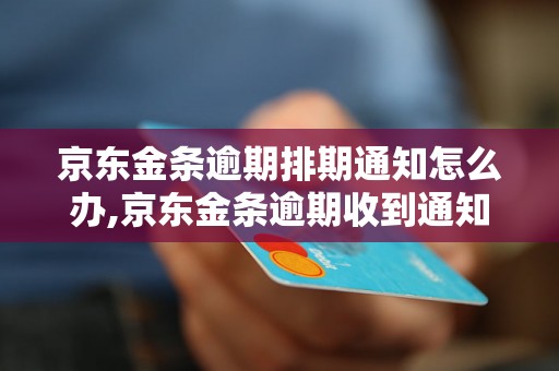 京东金条逾期排期通知怎么办,京东金条逾期收到通知后该怎么处理