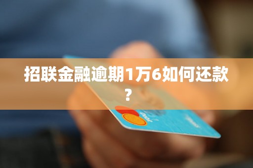 招联金融逾期1万6如何还款？