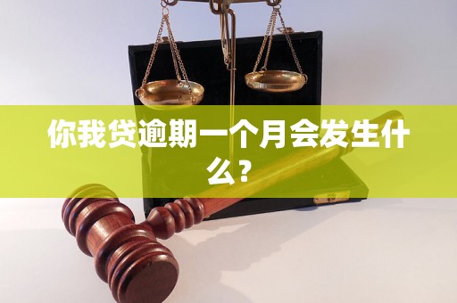 你我贷逾期一个月会发生什么？