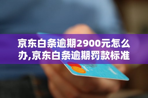 京东白条逾期2900元怎么办,京东白条逾期罚款标准