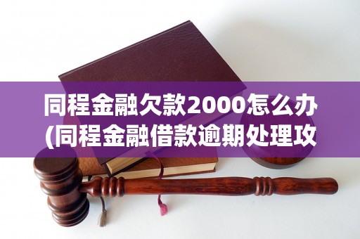 同程金融欠款2000怎么办(同程金融借款逾期处理攻略)