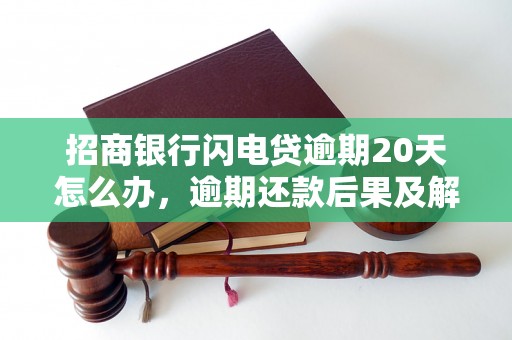 招商银行闪电贷逾期20天怎么办，逾期还款后果及解决办法