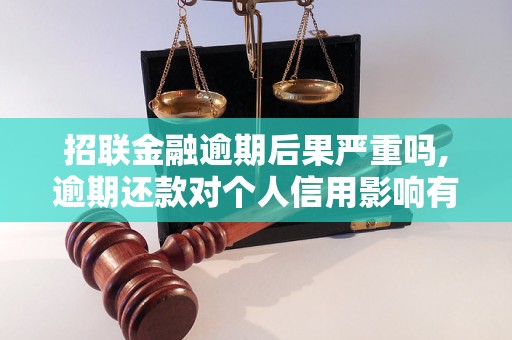 招联金融逾期后果严重吗,逾期还款对个人信用影响有多大