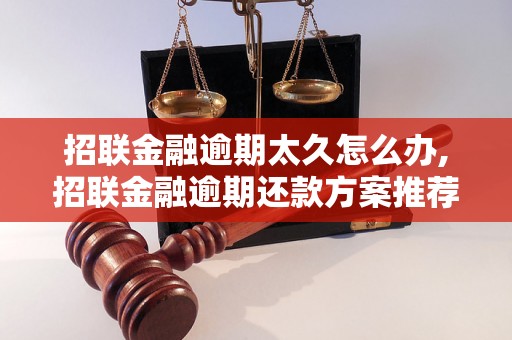 招联金融逾期太久怎么办,招联金融逾期还款方案推荐