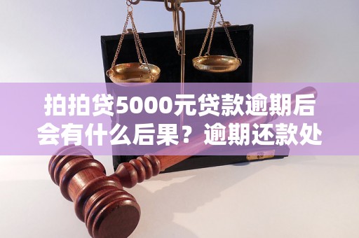 拍拍贷5000元贷款逾期后会有什么后果？逾期还款处理方式介绍