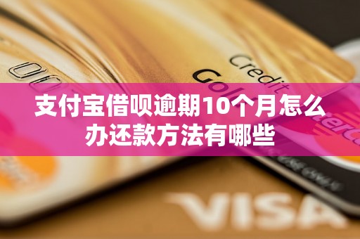 支付宝借呗逾期10个月怎么办还款方法有哪些