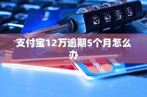 支付宝12万逾期5个月怎么办