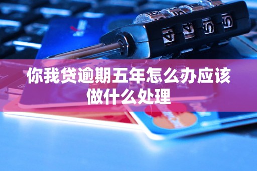 你我贷逾期五年怎么办应该做什么处理