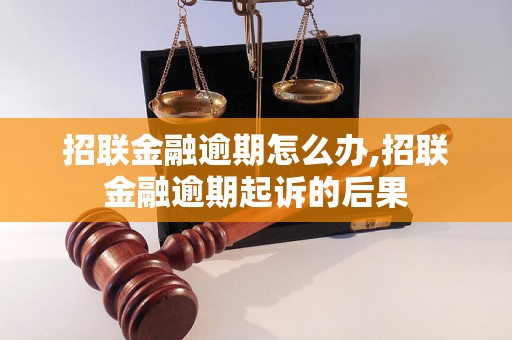 招联金融逾期怎么办,招联金融逾期起诉的后果