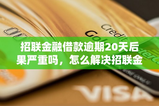 招联金融借款逾期20天后果严重吗，怎么解决招联金融借款逾期问题