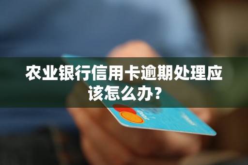 农业银行信用卡逾期处理应该怎么办？