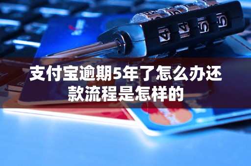 支付宝逾期5年了怎么办还款流程是怎样的