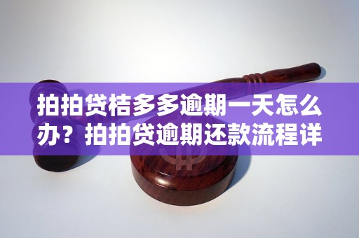 拍拍贷桔多多逾期一天怎么办？拍拍贷逾期还款流程详解