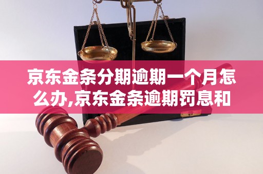 京东金条分期逾期一个月怎么办,京东金条逾期罚息和处理办法