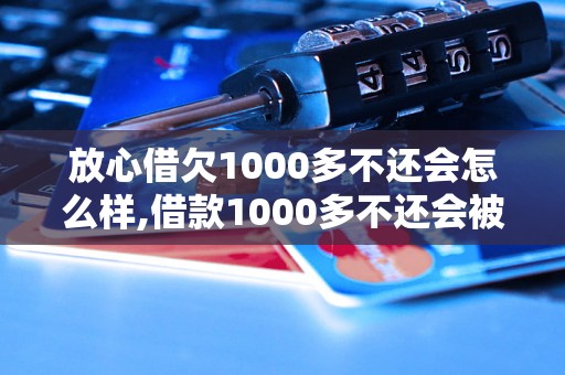 放心借欠1000多不还会怎么样,借款1000多不还会被起诉吗