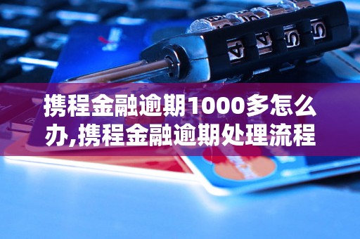 携程金融逾期1000多怎么办,携程金融逾期处理流程解析