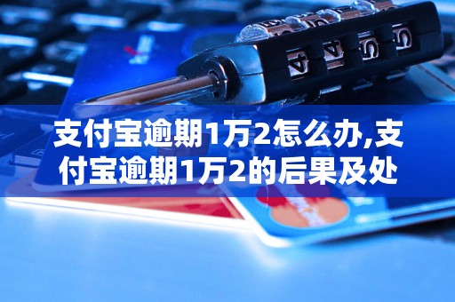 支付宝逾期1万2怎么办,支付宝逾期1万2的后果及处理方法