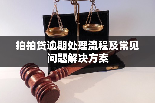 拍拍贷逾期处理流程及常见问题解决方案