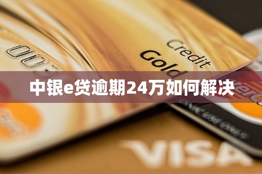 中银e贷逾期24万如何解决