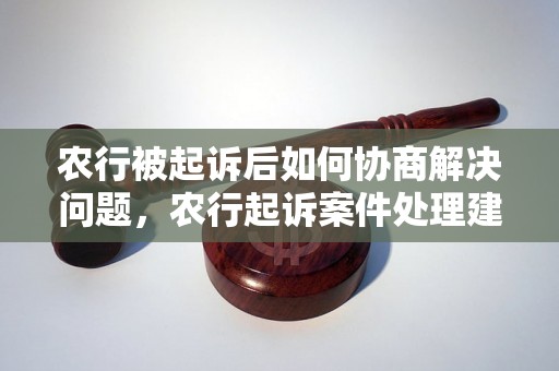 农行被起诉后如何协商解决问题，农行起诉案件处理建议