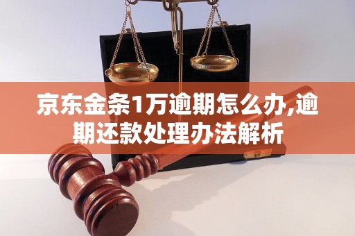 京东金条1万逾期怎么办,逾期还款处理办法解析