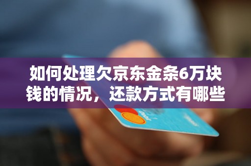 如何处理欠京东金条6万块钱的情况，还款方式有哪些选择