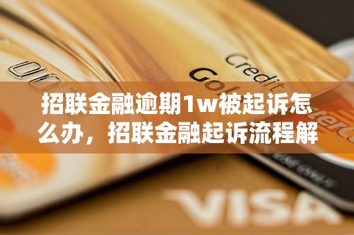 招联金融逾期1w被起诉怎么办，招联金融起诉流程解析