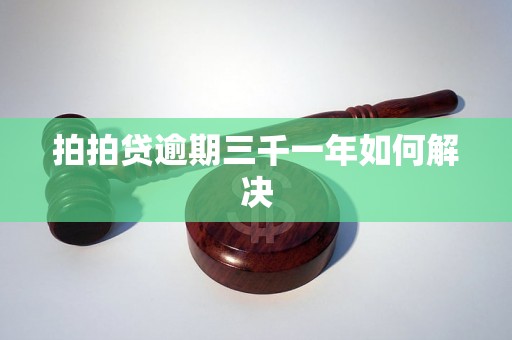 拍拍贷逾期三千一年如何解决