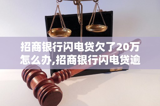 招商银行闪电贷欠了20万怎么办,招商银行闪电贷逾期还款解决方案