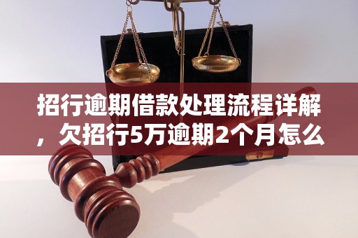 招行逾期借款处理流程详解，欠招行5万逾期2个月怎么办