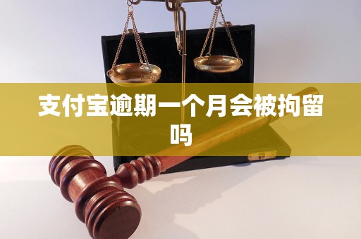 支付宝逾期一个月会被拘留吗