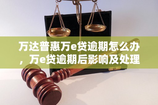 万达普惠万e贷逾期怎么办，万e贷逾期后影响及处理方式