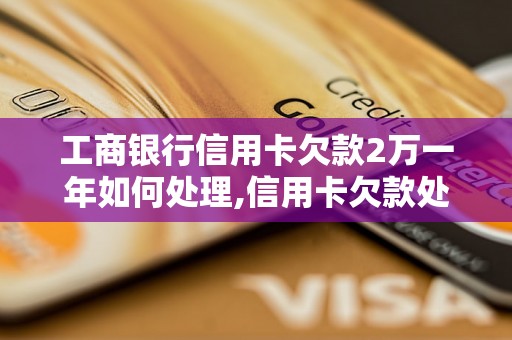 工商银行信用卡欠款2万一年如何处理,信用卡欠款处理方法及注意事项