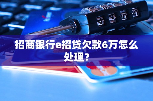 招商银行e招贷欠款6万怎么处理？