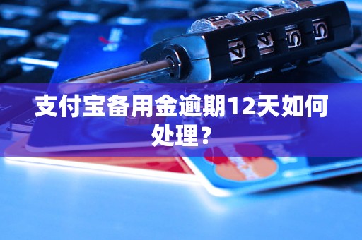 支付宝备用金逾期12天如何处理？