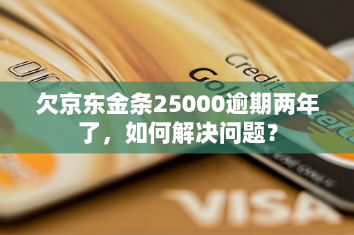 欠京东金条25000逾期两年了，如何解决问题？