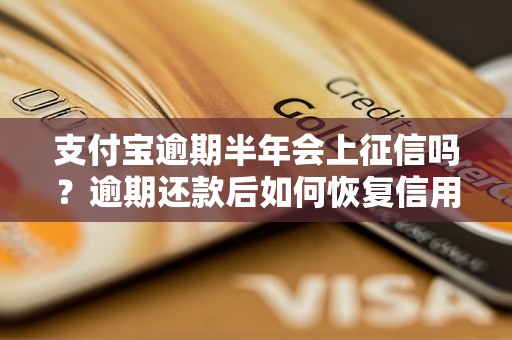 支付宝逾期半年会上征信吗？逾期还款后如何恢复信用？