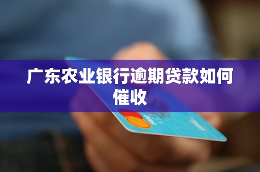 广东农业银行逾期贷款如何催收