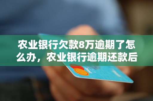 农业银行欠款8万逾期了怎么办，农业银行逾期还款后果