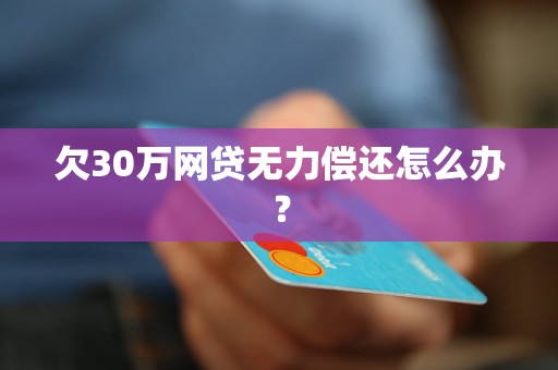 欠30万网贷无力偿还怎么办？