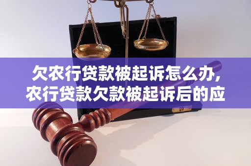 欠农行贷款被起诉怎么办,农行贷款欠款被起诉后的应对措施